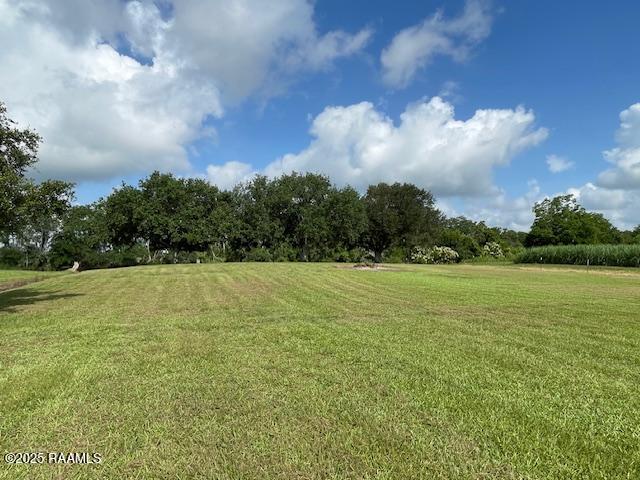 14902 Emily Rd, Erath, LA 70533