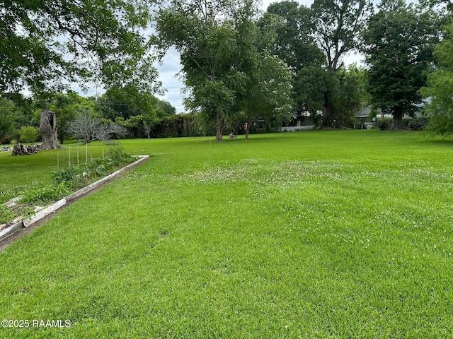 209 E Oak St, Abbeville, LA 70510 - photo 3