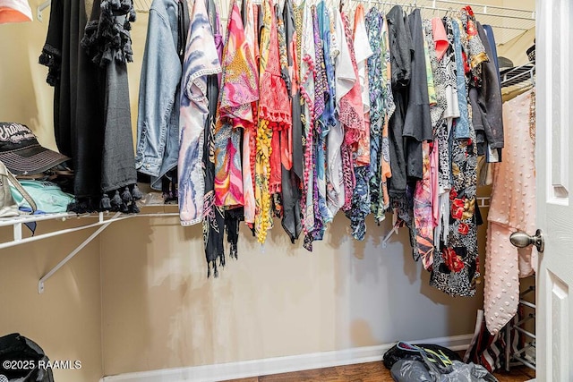 202 Doe Ln, Broussard, LA 70518 - walk in closet featuring wood finished floors