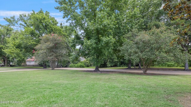 1304 E Bayou Pkwy Unit 8A, Lafayette, LA 70508 - view of community featuring a yard