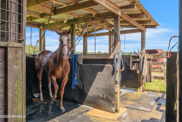 145 Celestine Ln, Sunset, LA 70584 - view of stable