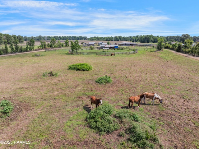 145 Celestine Ln, Sunset, LA 70584 - view of rural area featuring agricultural land