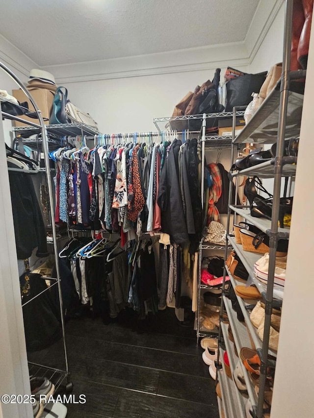 walk in closet with hardwood / wood-style flooring