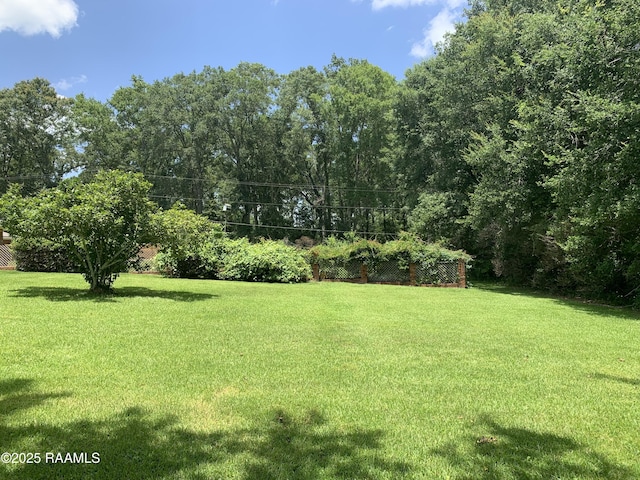 1921 E Willow St, Lafayette, LA 70501 - view of green lawn