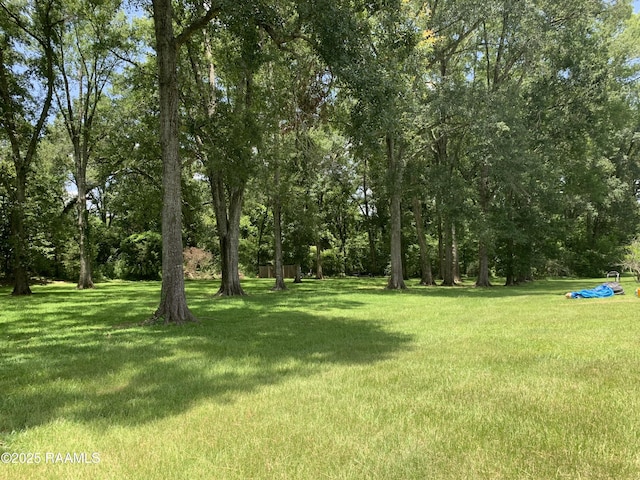1921 E Willow St, Lafayette, LA 70501 - view of green lawn