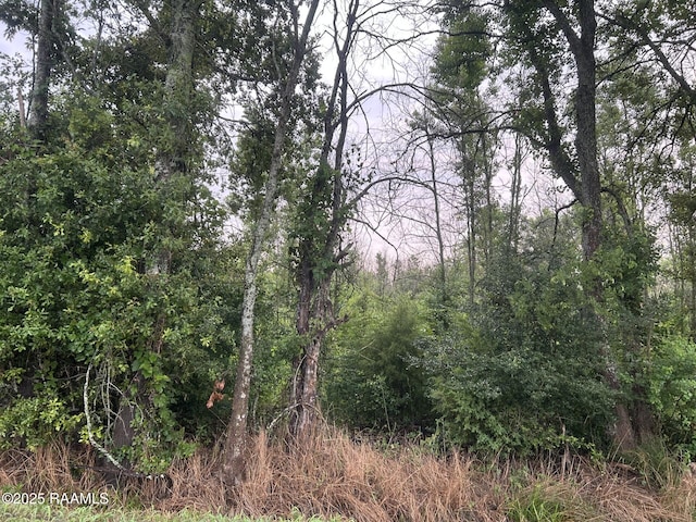 TBD Bienville Rd, Ville Platte, LA 70586 - photo 3