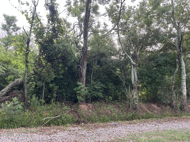 TBD Bienville Rd, Ville Platte, LA 70586 - photo 4