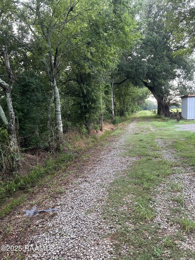 TBD Bienville Rd, Ville Platte, LA 70586 - photo 5