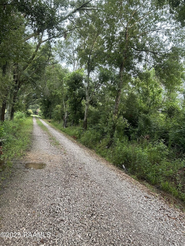 TBD Bienville Rd, Ville Platte, LA 70586 - photo 6