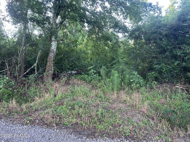 TBD Bienville Rd, Ville Platte, LA 70586 - photo 7
