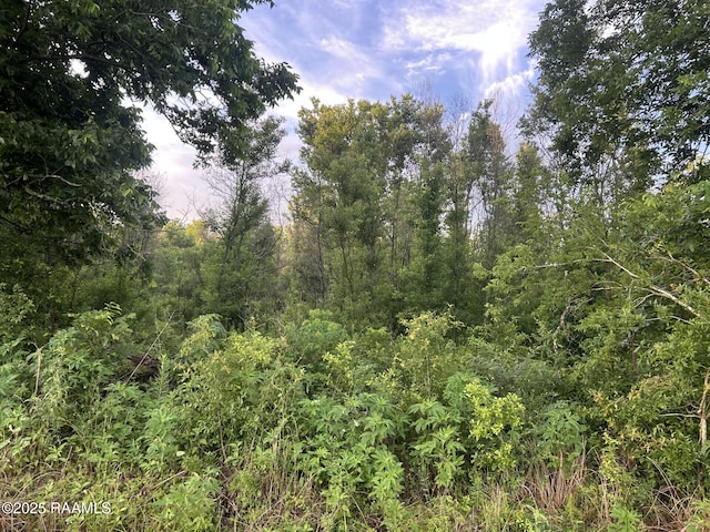 TBD Bienville Rd, Ville Platte, LA 70586 - photo 9