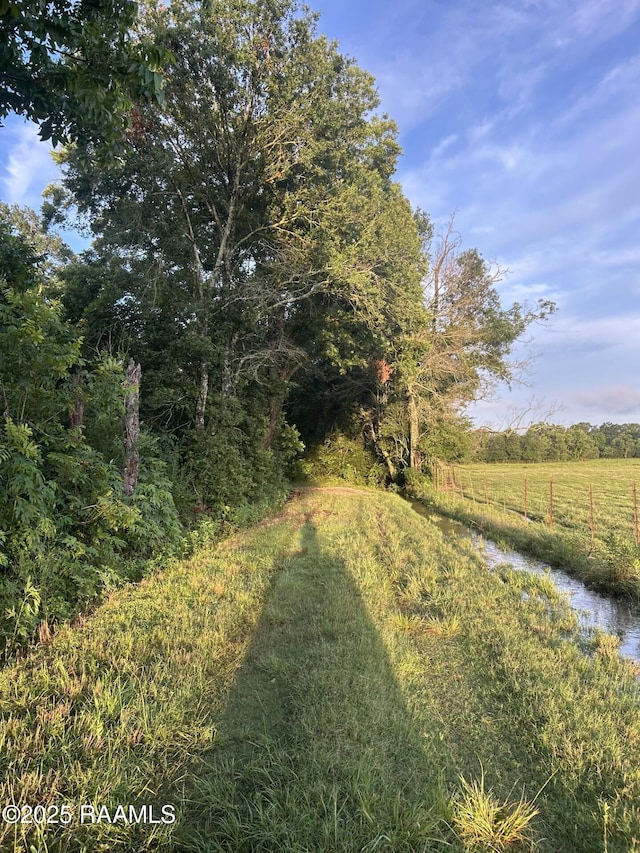 TBD Bienville Rd, Ville Platte, LA 70586 - photo 11