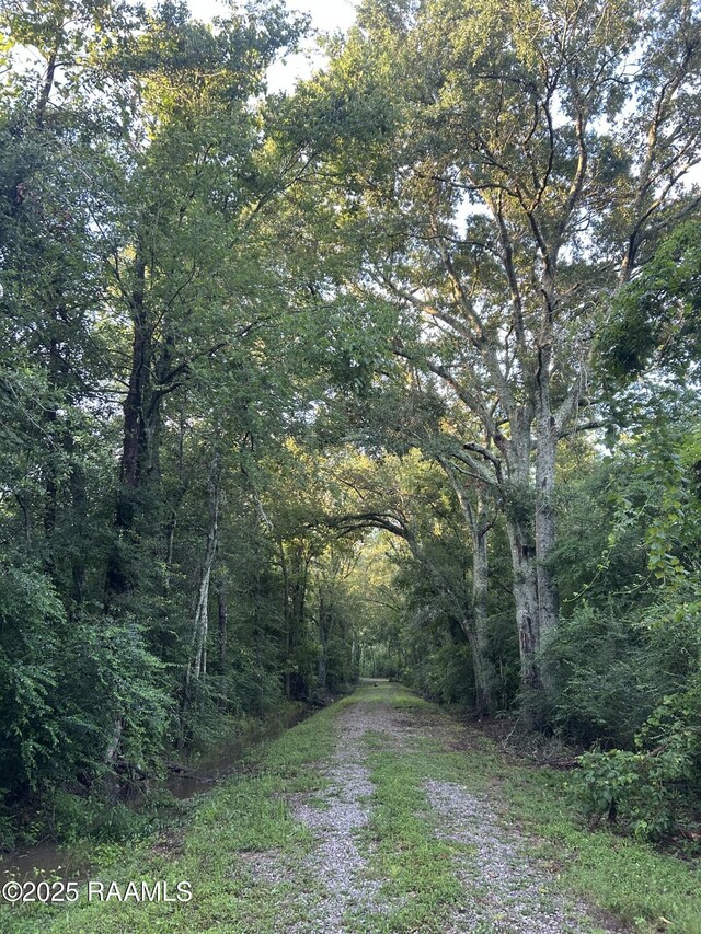 TBD Bienville Rd, Ville Platte, LA 70586 - photo 2