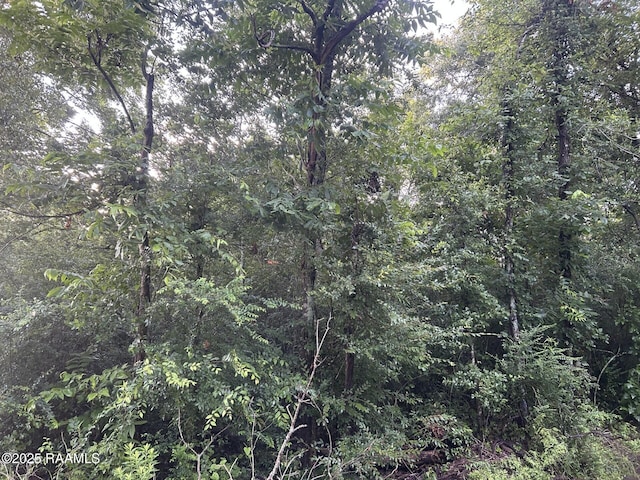 TBD Bienville Rd, Ville Platte, LA 70586 - photo 13
