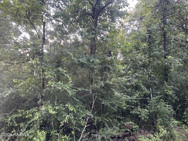 TBD Bienville Rd, Ville Platte, LA 70586 - photo 14