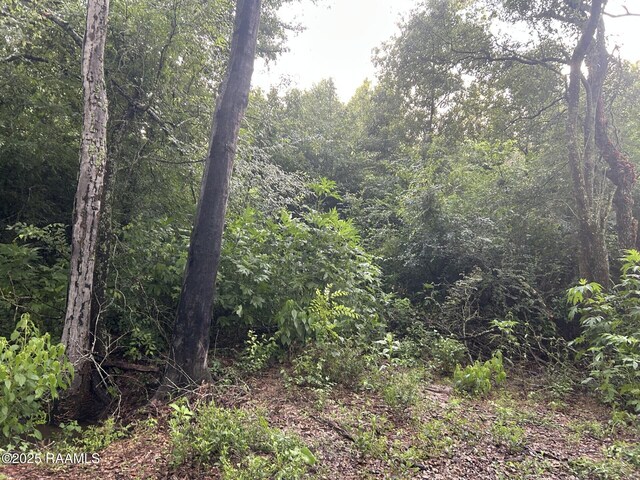 TBD Bienville Rd, Ville Platte, LA 70586 - photo 16