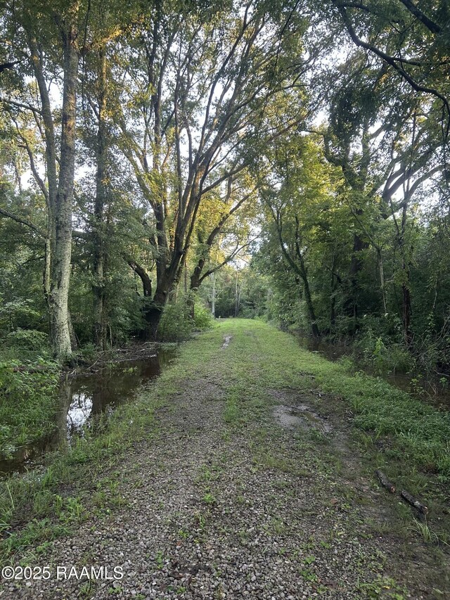 TBD Bienville Rd, Ville Platte, LA 70586 - photo 1