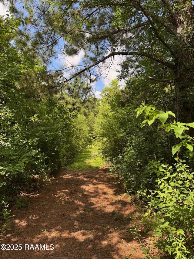 TBD Frozard Rd Unit 5, Arnaudville, LA 70512