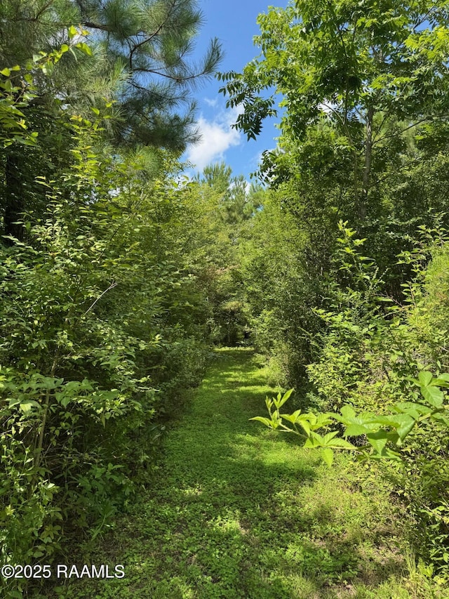 TBD Frozard Rd Unit 5, Arnaudville, LA 70512