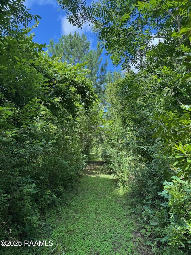 TBD Frozard Rd Unit 5, Arnaudville, LA 70512