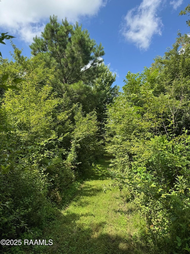 TBD Frozard Rd Unit 5, Arnaudville, LA 70512