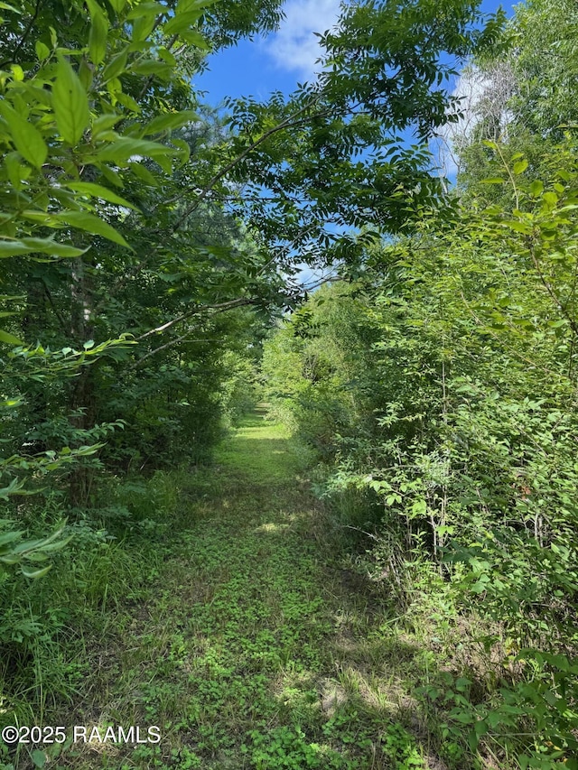 TBD Frozard Rd Unit 5, Arnaudville, LA 70512