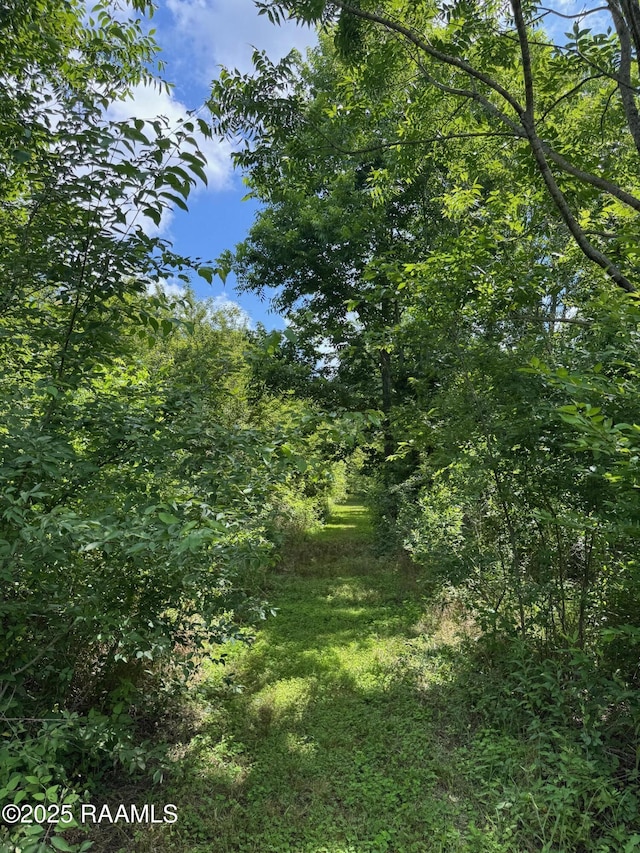 TBD Frozard Rd Unit 5, Arnaudville, LA 70512