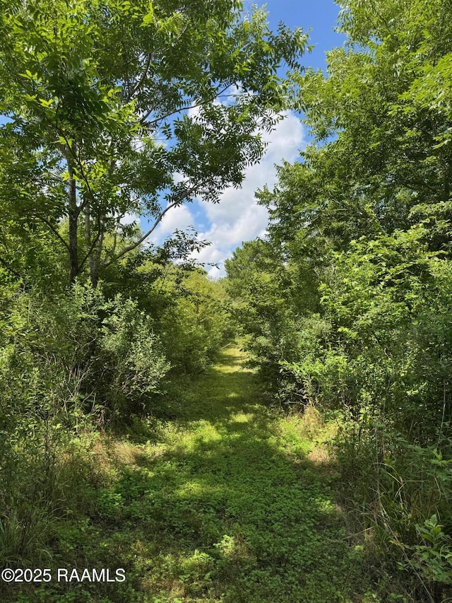 TBD Frozard Rd Unit 5, Arnaudville, LA 70512