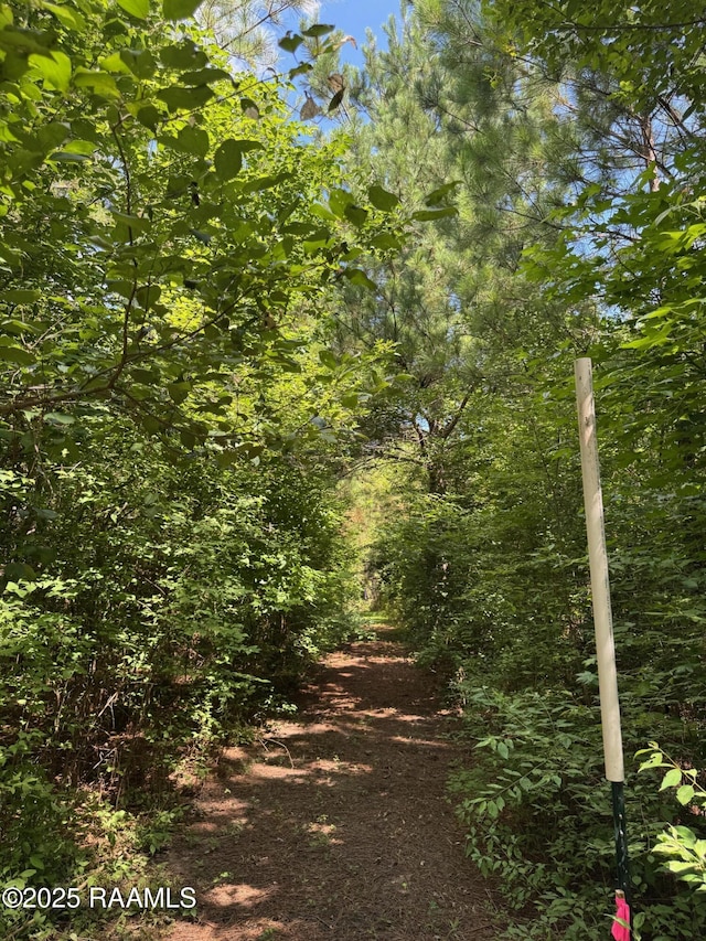 TBD Frozard Rd Unit 5, Arnaudville, LA 70512