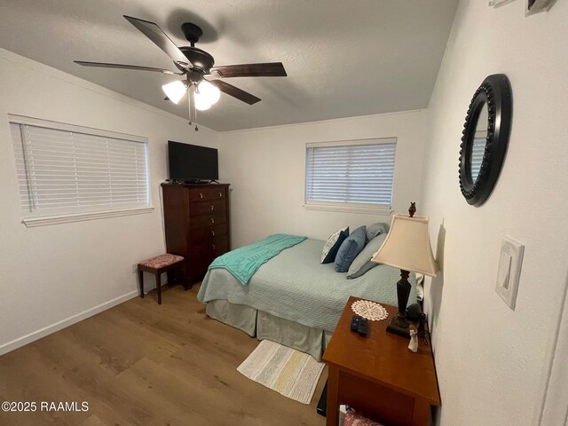 2305 Kramer Dr, New Iberia, LA 70560 - photo 19