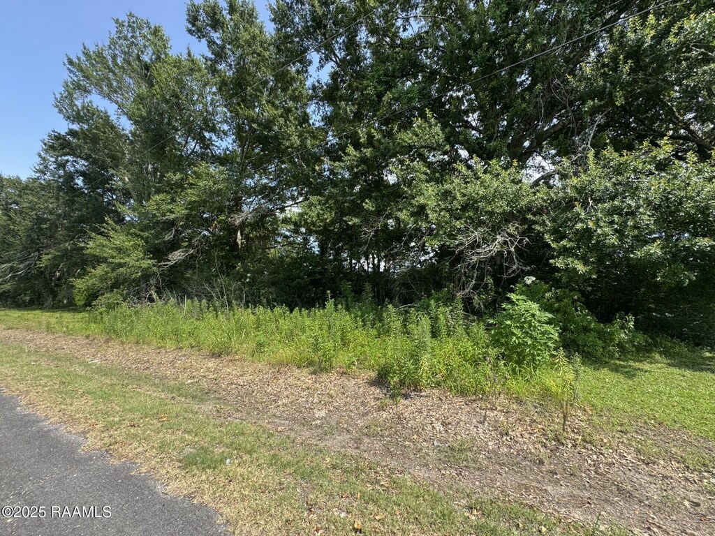 Tbd Orphe Road 34 & 35, Saint Martinville, LA 70582 - photo 2