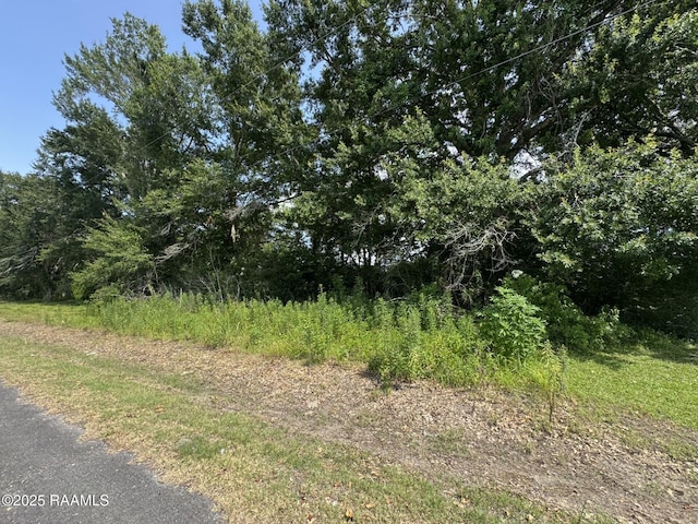 Tbd Orphe Road 34 & 35, Saint Martinville, LA 70582 - photo 2