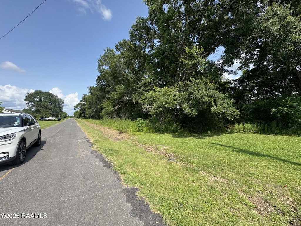 Tbd Orphe Road 34 & 35, Saint Martinville, LA 70582 - photo 4