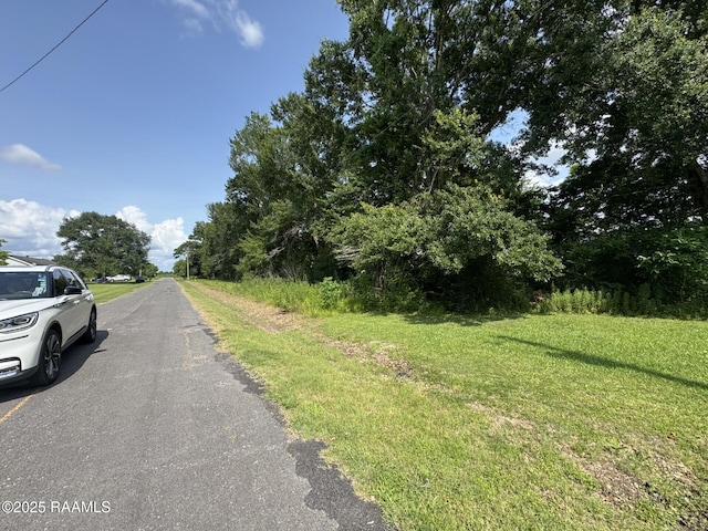 Tbd Orphe Road 34 & 35, Saint Martinville, LA 70582 - photo 4