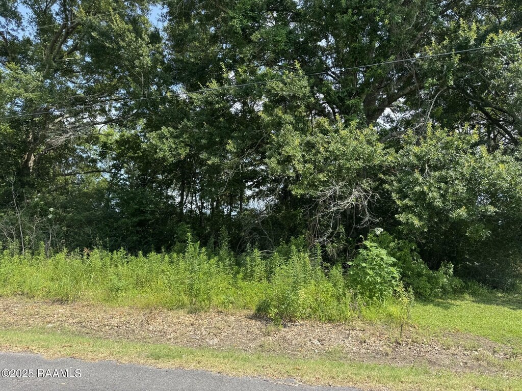 Tbd Orphe Road 34 & 35, Saint Martinville, LA 70582 - photo 3