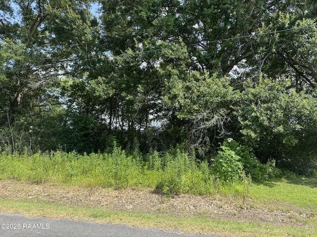 Tbd Orphe Road 34 & 35, Saint Martinville, LA 70582 - photo 3