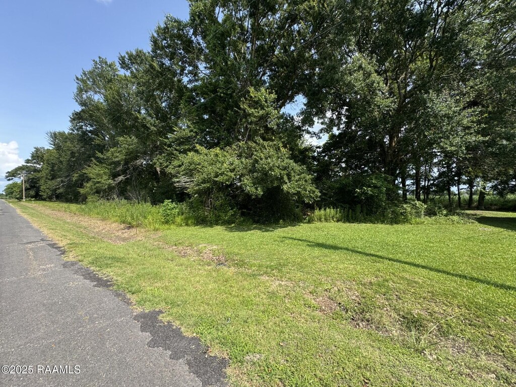 Tbd Orphe Road 34 & 35, Saint Martinville, LA 70582 - photo 1