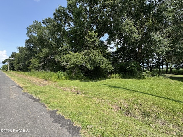 Tbd Orphe Road 34 & 35, Saint Martinville, LA 70582 - photo 1