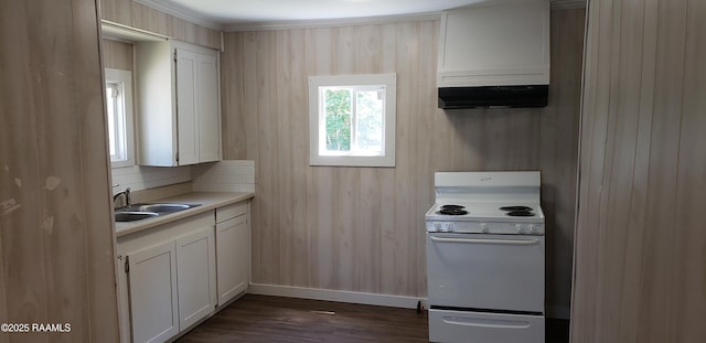 1814 E Lafayette St, Abbeville, LA 70510 - kitchen featuring white electric range oven, under cabinet range hood, light countertops, dark wood finished floors, and white cabinetry