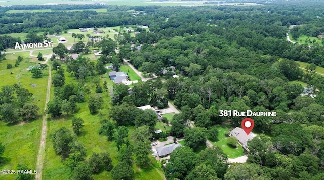 381 Rue Dauphine, Eunice, LA 70535 - aerial view of property's location with a forest