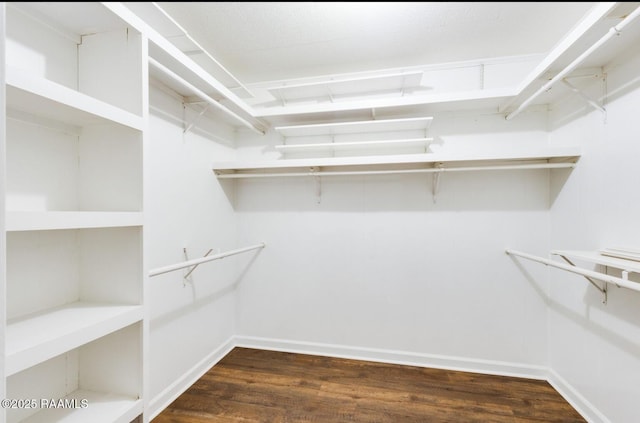 381 Rue Dauphine, Eunice, LA 70535 - spacious closet with dark wood-style floors
