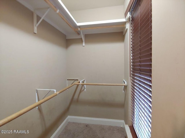 120 Acacia Ln, Abbeville, LA 70510 - walk in closet featuring carpet