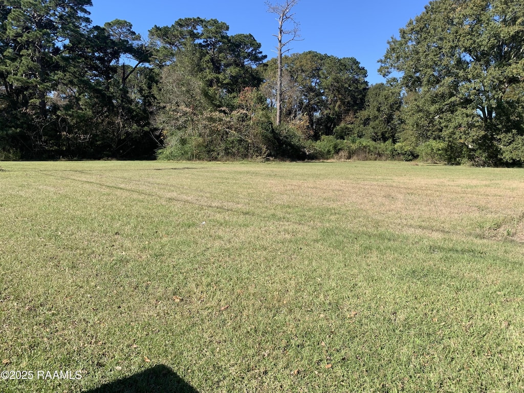 2401 Louisiana Ave, Lafayette, LA 70501 - photo 1