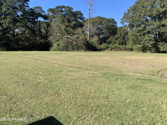 2401 Louisiana Ave, Lafayette, LA 70501 - photo 1