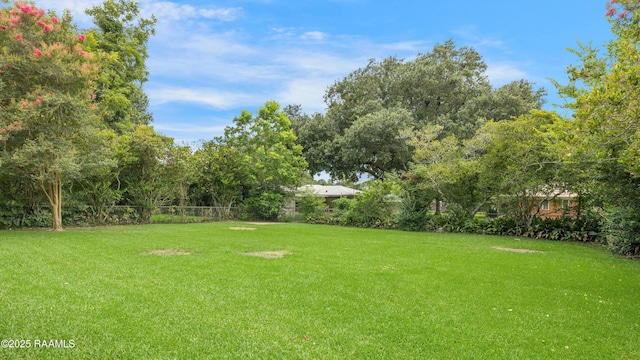 109 Guadalajara St, New Iberia, LA 70563 - view of yard