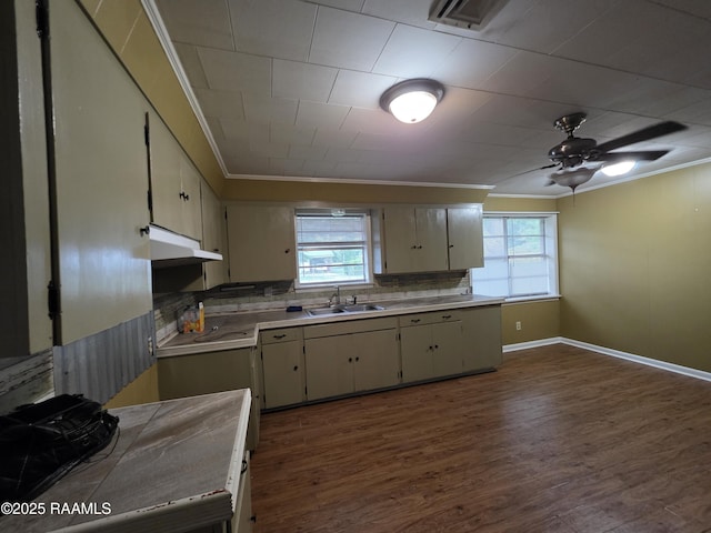 119 Romero St, Youngsville, LA 70592 - kitchen with crown molding, under cabinet range hood, dark wood-style floors, decorative backsplash, and light countertops
