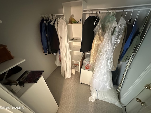 14439 Gladu Rd, Kaplan, LA 70548 - view of walk in closet