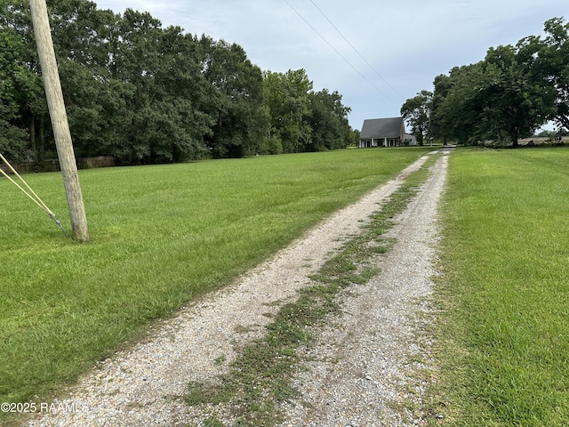 14439 Gladu Rd, Kaplan, LA 70548 - view of green lawn with driveway