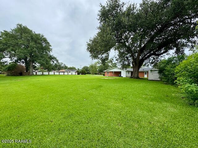 110 W Tampico St, New Iberia, LA 70563 - view of green lawn
