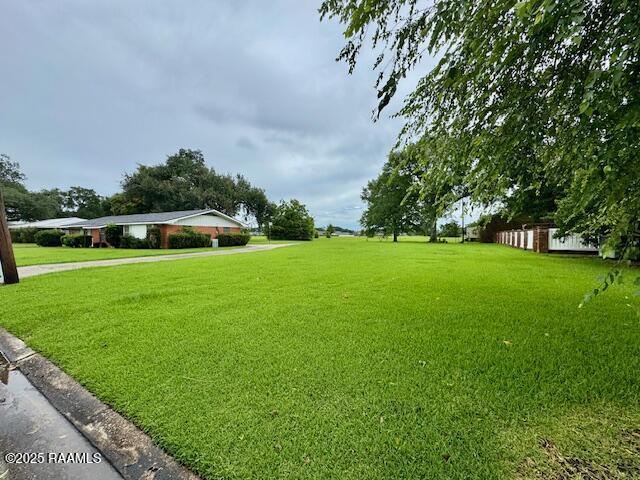 110 W Tampico St, New Iberia, LA 70563 - view of grassy yard